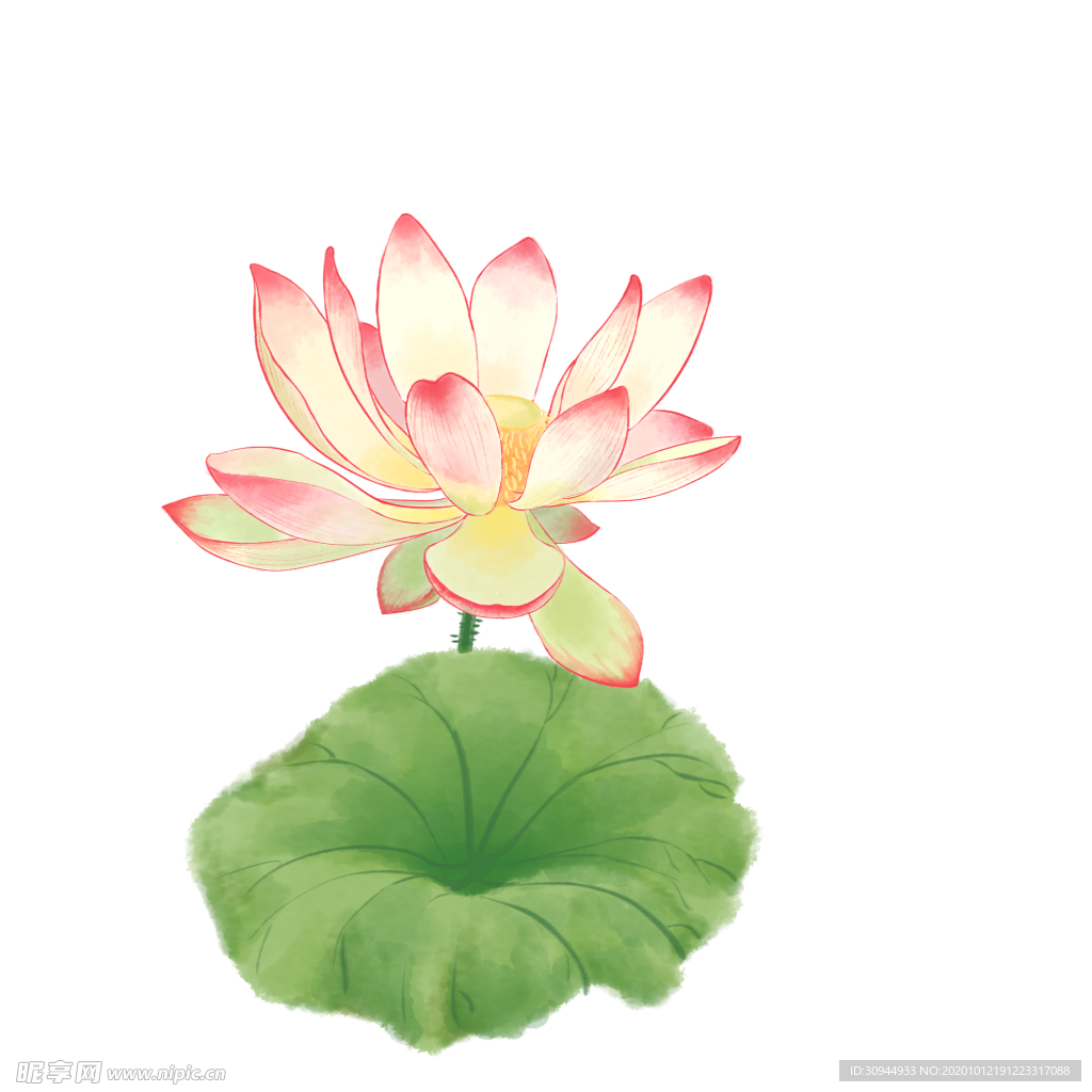 荷花元素