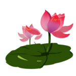 荷花元素