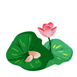 荷花元素
