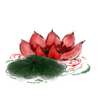 荷花元素