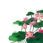 荷花元素