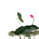 荷花元素