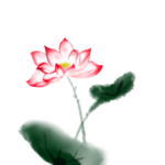 荷花元素
