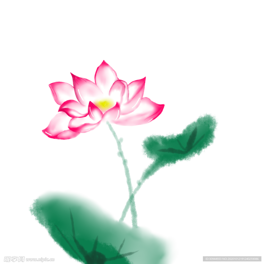 荷花元素