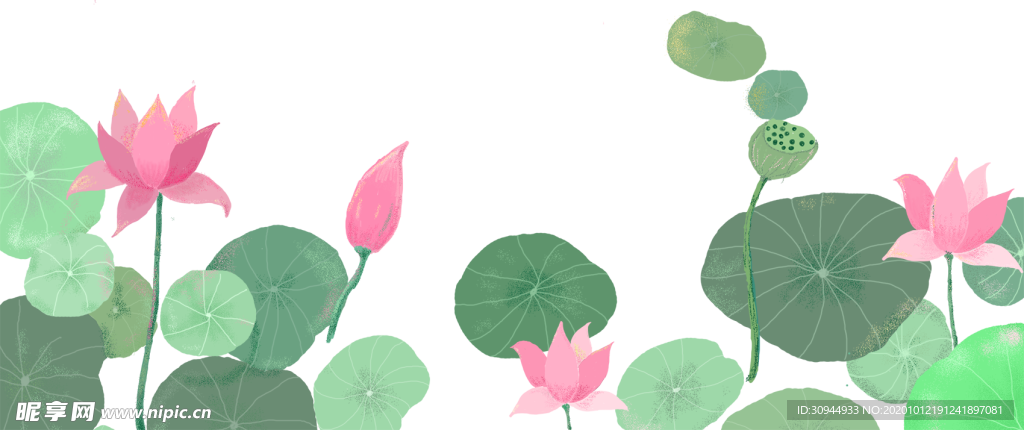 荷花元素