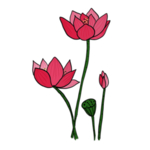 荷花元素