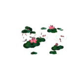 荷花元素