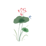荷花元素