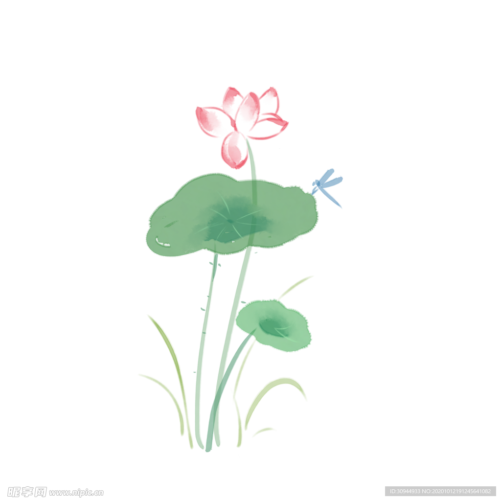荷花元素