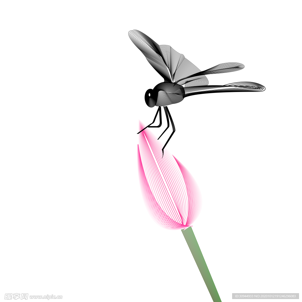 荷花元素