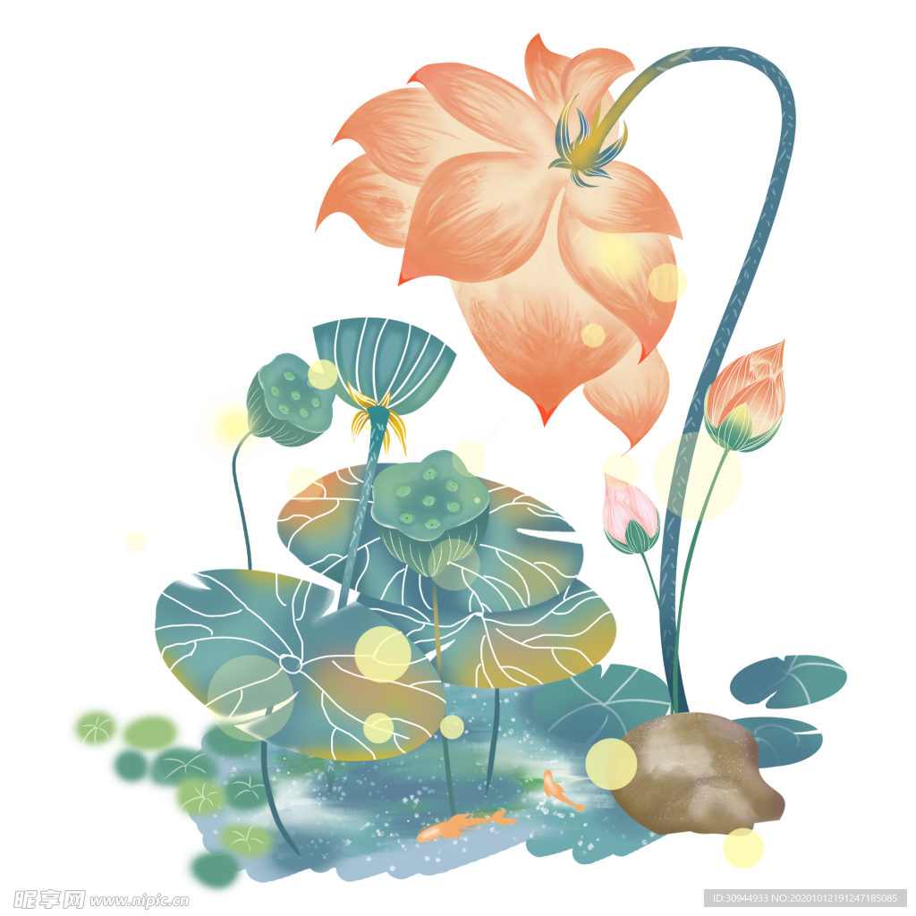 荷花元素