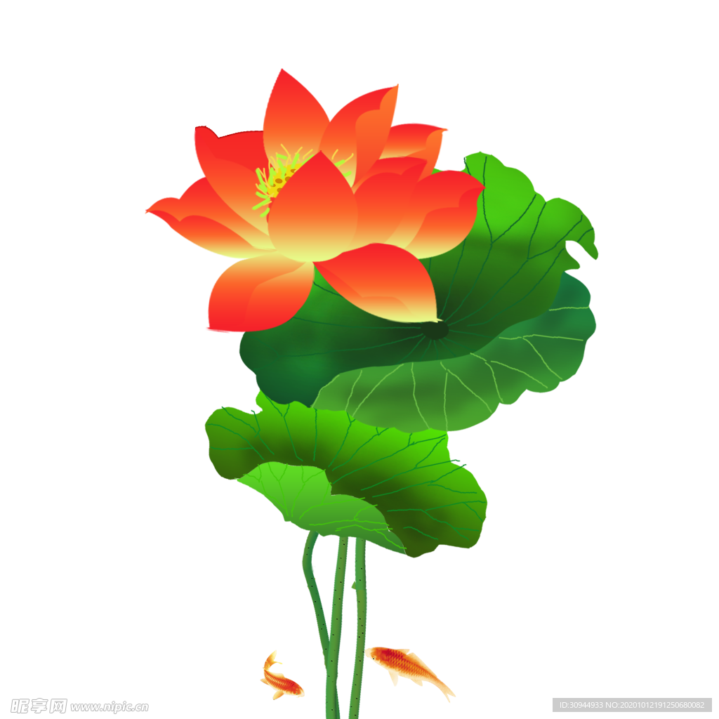 荷花元素