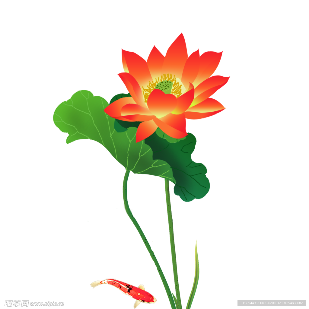 荷花元素