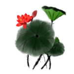 荷花元素