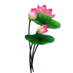 荷花元素