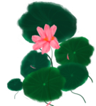 荷花元素