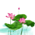 荷花元素