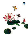 荷花元素