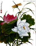 荷花元素