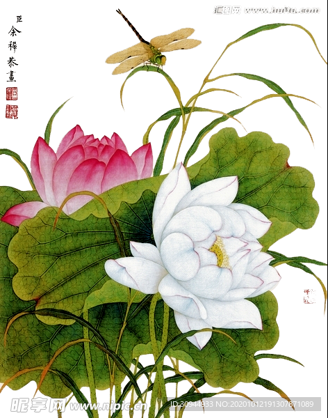 荷花元素