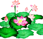 荷花元素