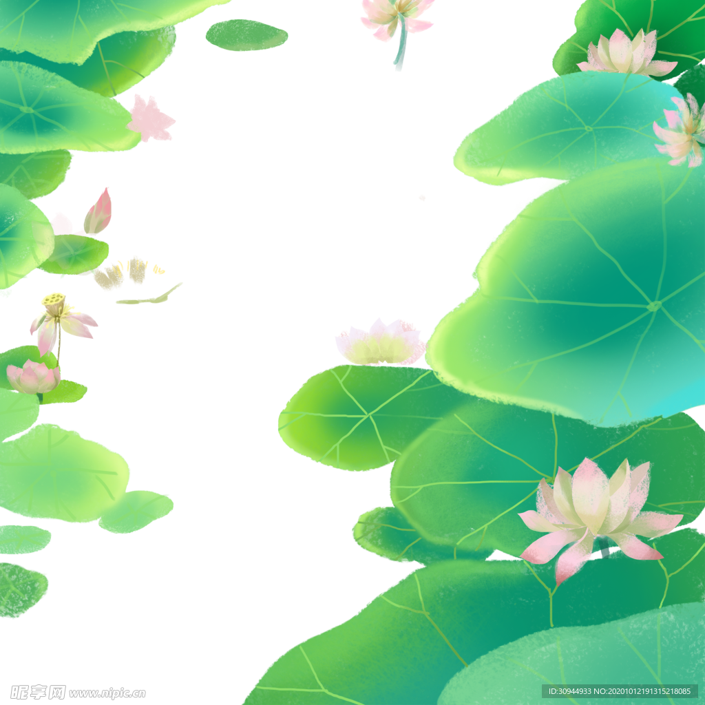 荷花元素