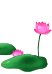 荷花元素