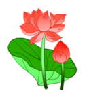荷花元素