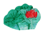 荷花元素