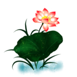 荷花元素