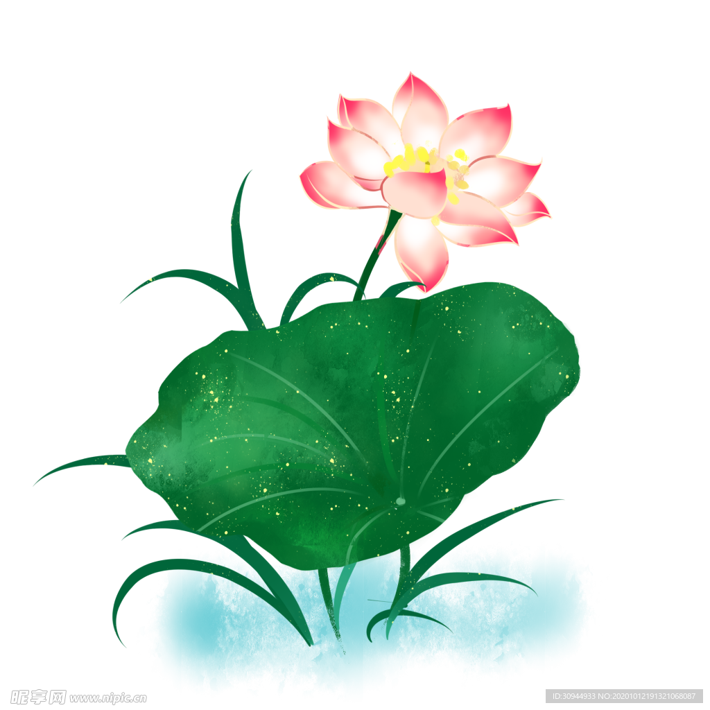 荷花元素