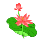 荷花元素