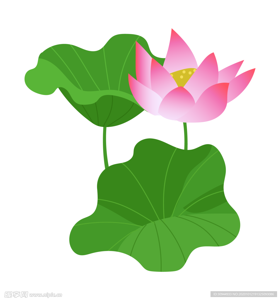 荷花元素
