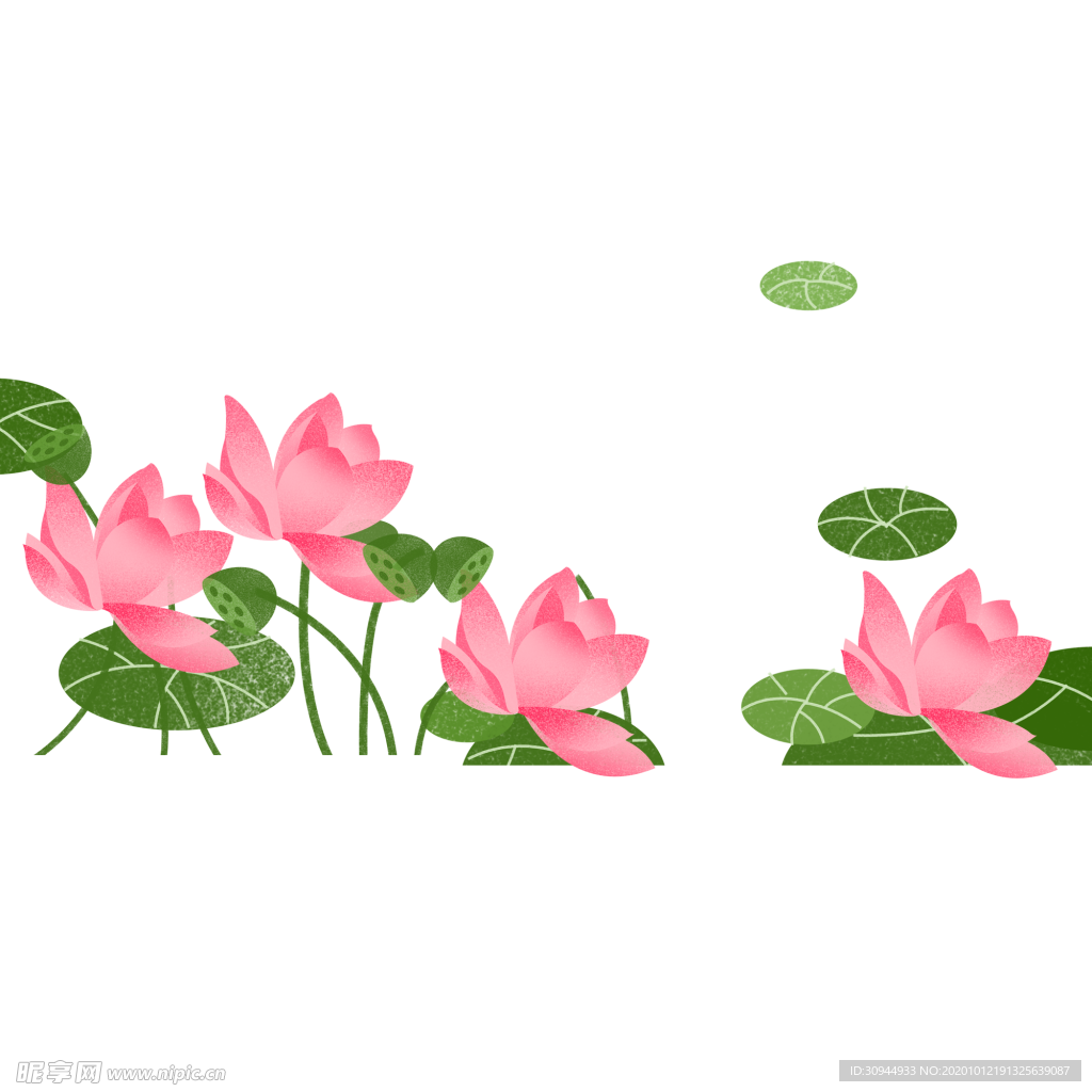 荷花元素