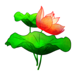 荷花元素