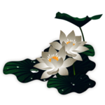 荷花元素