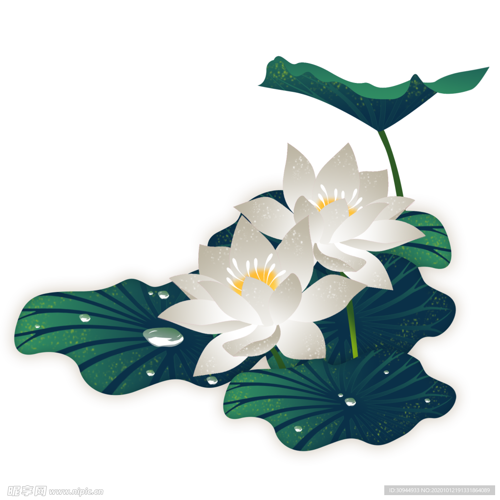 荷花元素