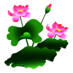 荷花元素