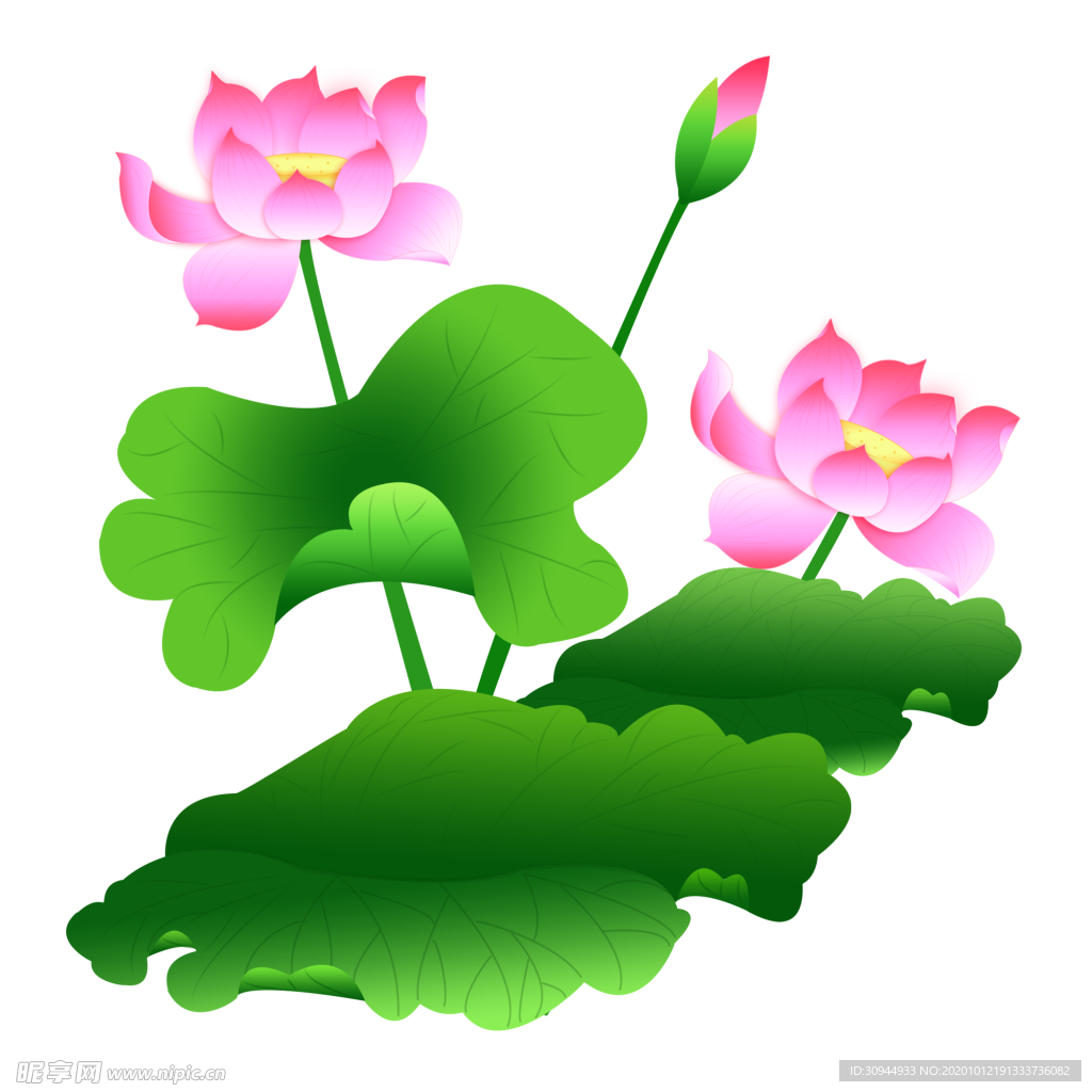 荷花元素