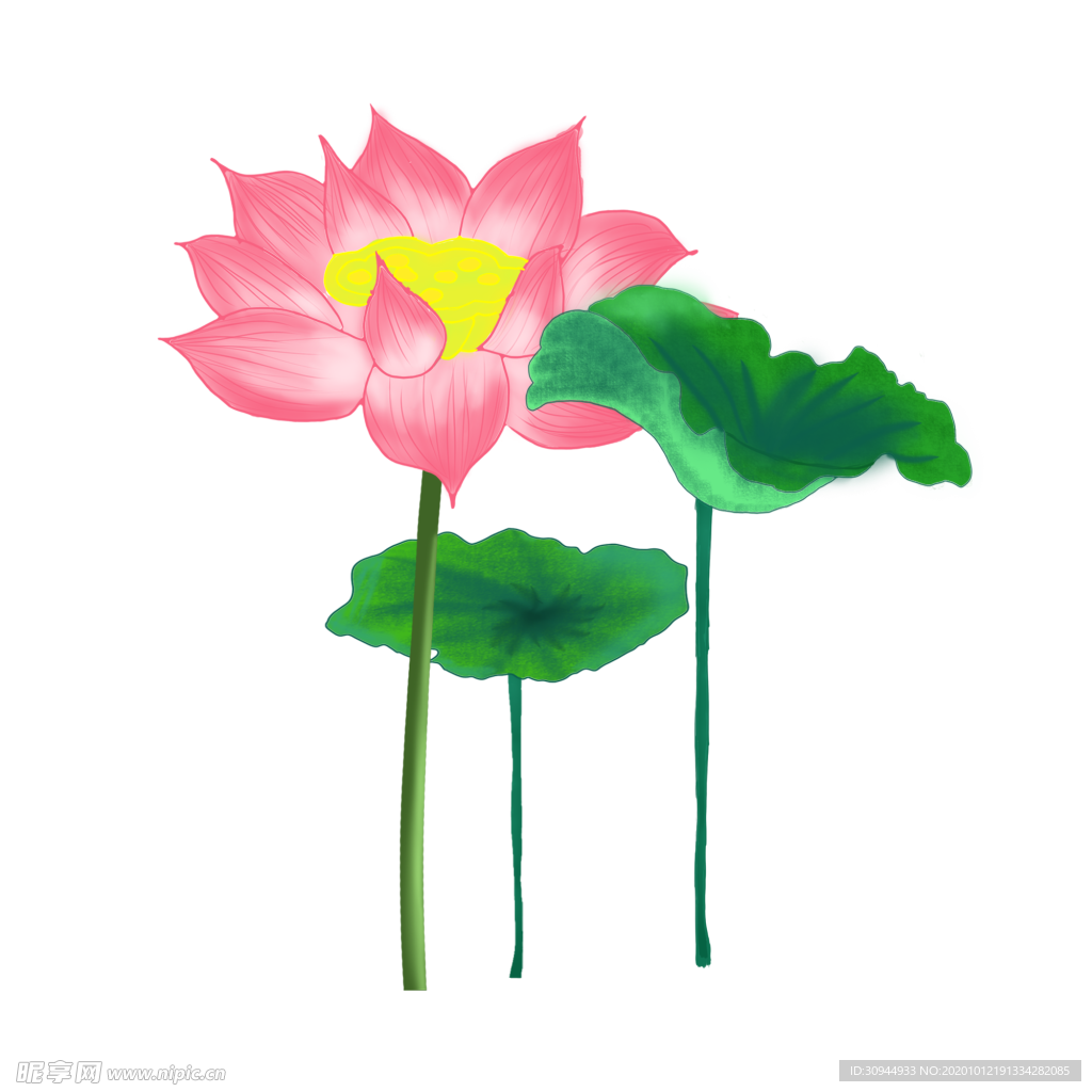 荷花元素