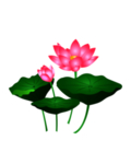 荷花元素
