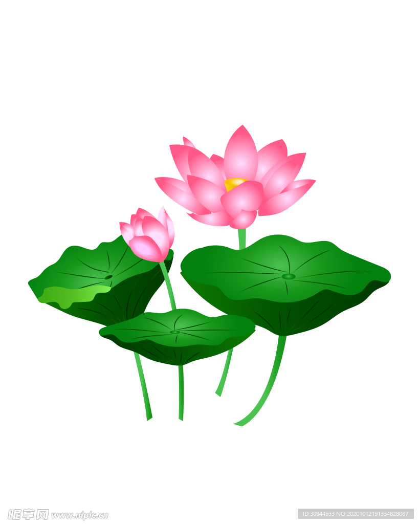 荷花元素