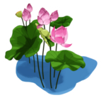 荷花元素