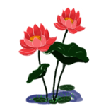 荷花元素