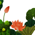 荷花元素