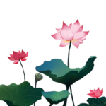 荷花元素