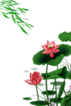 荷花元素