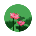荷花元素