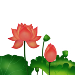 荷花元素