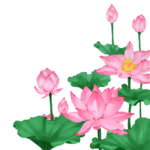 荷花元素